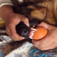 глаза боятся а руки делают