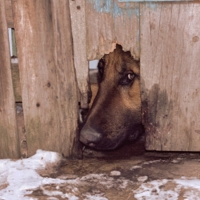 Первый день РRО :)