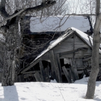 Оттаять и устоять