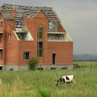 Уже деревья проросли...