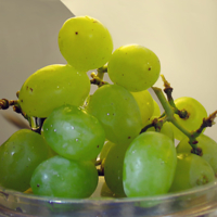 фрагмент виноградной грозди