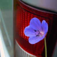  Не только средство передвижения