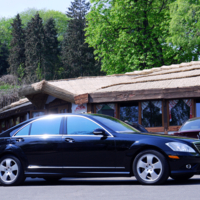 Чёрный скакун