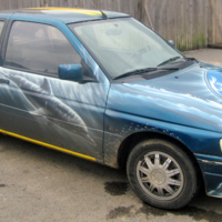 Дельфины