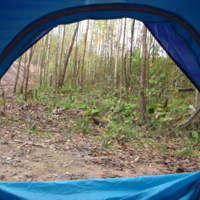 Вид из палатки