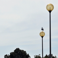 Проза жизни