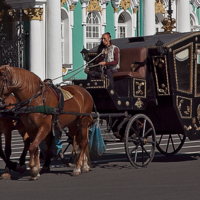 Питерские.