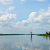 В реку смотрятся облака