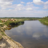 Полдень.