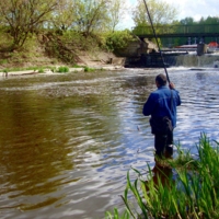 Дождалась...