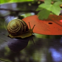 Мелодия наощупь.