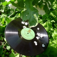 "... о ней всё сказано."