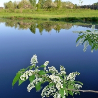 У воды