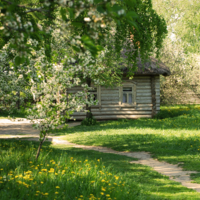 Деревенские хоромы