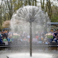А нам всё до... фонтана! 
