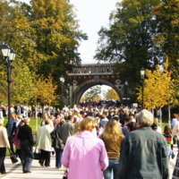 Новое  Царицыно