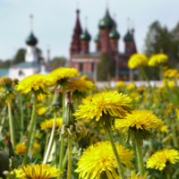 Был месяц май...