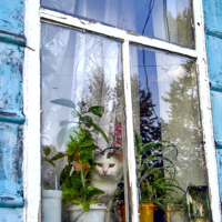 Родительский дом