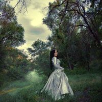 В сказочном лесу