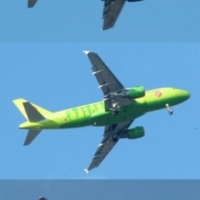 По образу и подобию.