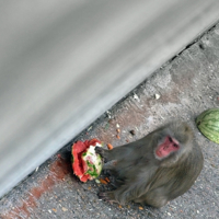 Слаще морковки