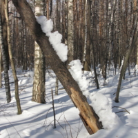 Взберемся повыше- дорогу поищем.