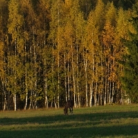 Уйди, самому мало.