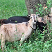 И где же птичка?