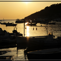 Спокойной ночи, рыбаки!