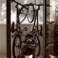 Заключение