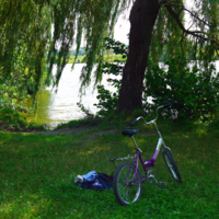 Есаул, есаул,...