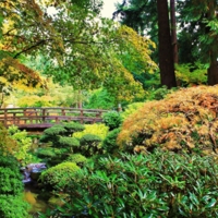 Мостик в Японском саду