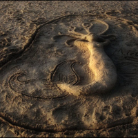 Песчаная нимфа