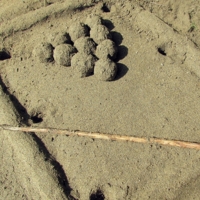 песочный бильярд