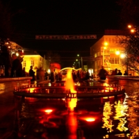 ночной фонтан. городские гулянья