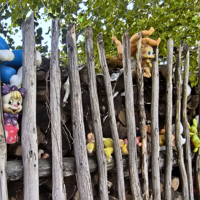 Дети выросли