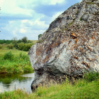 Вышел ёжик из тумана...