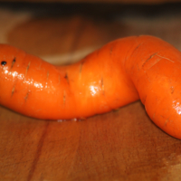 Такая вот морковка - червячок