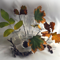 Листья и стекляшки