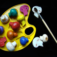 Грибная палитра