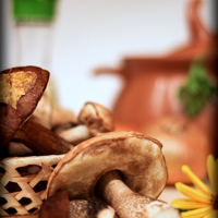 Грибной сезон.