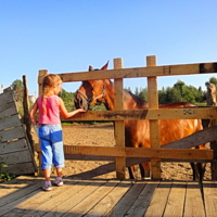 Познание добра