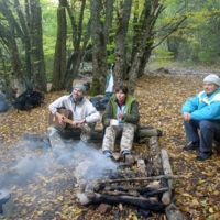 Ви хочите песен? Их есть у меня!