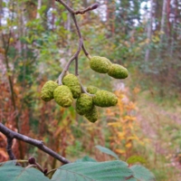 Дружная семейка.