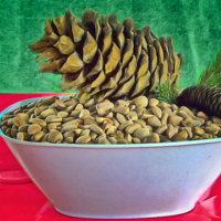 Плоды кедра маньчжурского