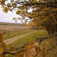 Золотая осень