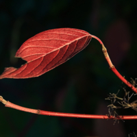 ...до свидания, лето...