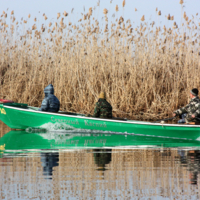 К заветной цели