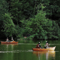 Гости из прошлого