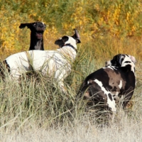 Не ждали? А я пришла!